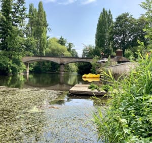 De la plaine céréalière au Pont du Coudray via la Guigne - Amayé-sur-Orne - 2