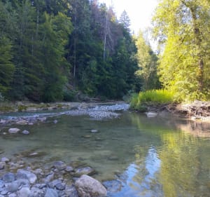 Le long de la Filière - Fillière - 3