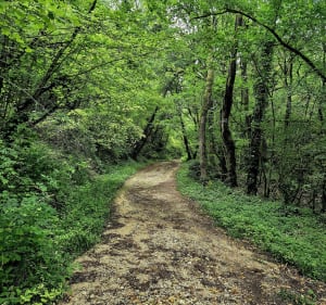 Boucle sur les hauteurs de Magnac - Magnac-sur-Touvre - 2