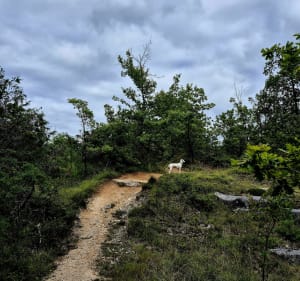 Boucle sur les hauteurs de Magnac - Emilie - 3