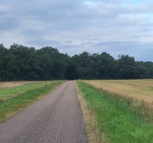 Balade en Sologne - Chantal - 2