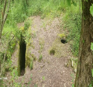 Boucle du roi des Chauzes - Antonne-et-Trigonant - 2