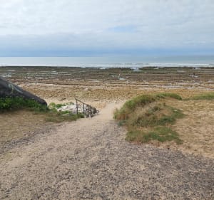 Parcours entre campagne et plage vers la Tranche-sur-Mer - La Tranche-sur-Mer - 2