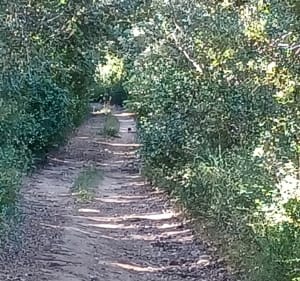 Passage sur le Pont du Gard et par Castillon-du-Gard à VTT - Saint-Hilaire-d'Ozilhan - 2