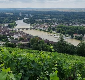 Joigny en revenant par le Belvédère - Joigny - 2