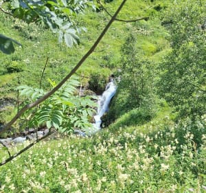 Le long de l'Yse - Luz-Saint-Sauveur - 2