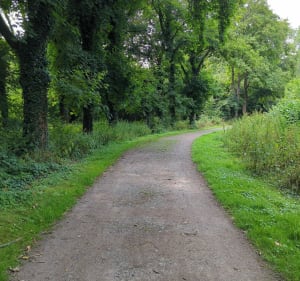 Entre Moissons et Crinchon - Arras - 2
