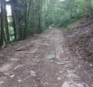 Au pied du Mont Rouge - Saint-Julien-Chapteuil - 2