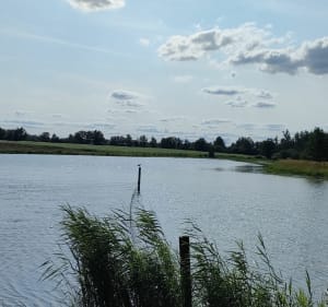 Boucle par Ambérieux depuis Villars-les-Dombes - Villars-les-Dombes - 2
