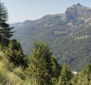 Les Gourniers,le sentier de l'Oussella - Réallon - 2