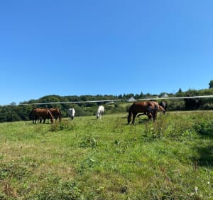 Boucle Le Beny Bocage - Souleuvre en Bocage - 2