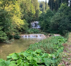 Source de l’Ain près de Nozeroy - HELENE - 4