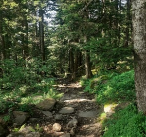 Vers Saut du Gier, Jasserine, et Crêt de la Perdrix - La Valla-en-Gier - 2