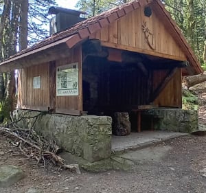 Lac Kruth Wildenstein / Chaume Grand Ventron 1204 m - Wildenstein - 2
