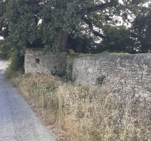 Dans les champs entre Jaunay-Clan et Louneuil - Jaunay-Marigny - 2