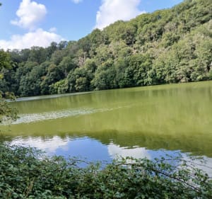 Barage de  Pierre Brune,  La grand Rhee - Mervent - 2