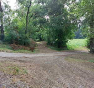 Balade entre Montaut et Preignan - Montaut-les-Créneaux - 2