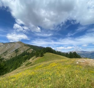 Belvédère du Fau depuis Les Blancs - Uvernet-Fours - 2