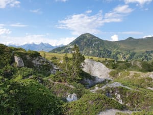 Randonnée familiale à la Plagne et caresses d'animaux - La Plagne - 2