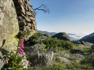 Écrin naturel au Cap de Labasset et lac haut perché - Cabanes d'Ardalos, Bagnères-de-Bigorre - 2