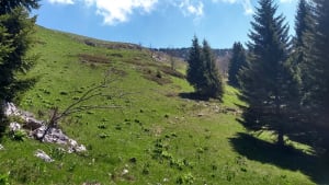 Cirque de Saint-Même et aventure guidée par les cairns - Saint-Pierre-d'Entremont - 2
