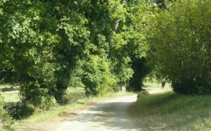 Domaine de La Burthe en korte groene wandeling - Floirac - 2