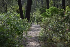 Voet van Mont-Faron en cultureel bezoek aan de vestingwerken - Toulon - 2