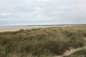 Wandeling rond Hauteville-sur-Mer en een strandvakantie - Hauteville-sur-Mer - 2