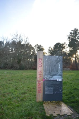 Weelderig Migelane-bos en geologische wandeling - Martillac - 2