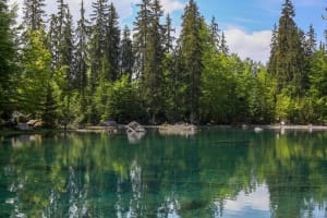 Boucle du lac Vert légendaire et forêt féerique - Plaine Joux - 2