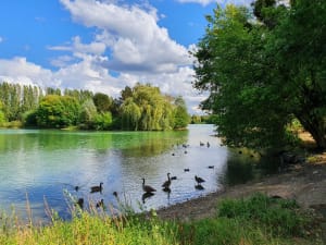Meer van Châlette, Cepoy-vijvers en natuurbad - Châlette-sur-Loing - 2