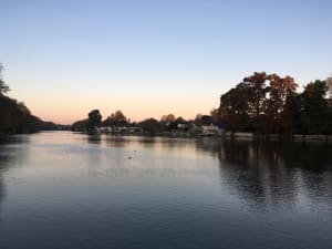 Parc du Poutyl et quiétude urbaine au bord du Loiret - Olivet - 2