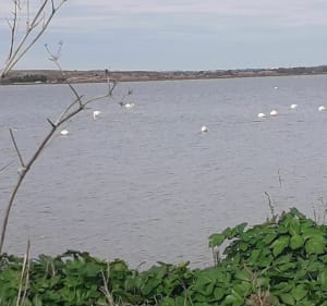 Kathedraal van Maguelone en wandeling langs de kust - Palavas-les-Flots - 2
