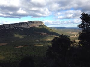Rondleiding door de Pic Saint-Loup en adembenemend avontuur - Cazevieille - 2