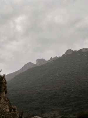 Découverte du Pays Cathare et magie du Verdouble avec sa cascade de Duilhac - Duilhac-sous-Peyrepertuse - 2