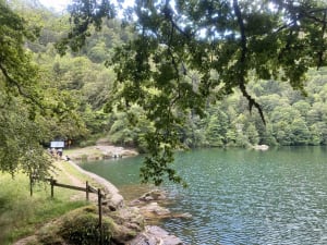 Magnifique Lac des Perches et balade sereine - Saint-Maurice-sur-Moselle - 2