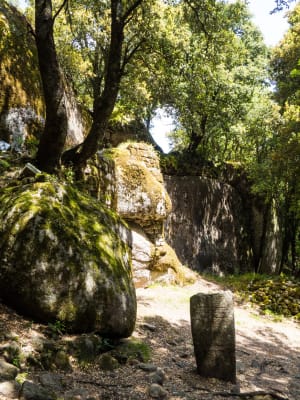Balade à Cucuruzzu et vestiges du passé - Levie - 2