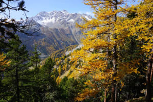 Tour de la Tête Noire et lac de la Partie depuis Modane - Modane - 2
