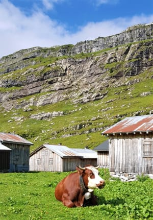 Het Fiz-massief en de volheid van de landschappen in de Haute-Savoie - Le Lignon d'en Haut - 2