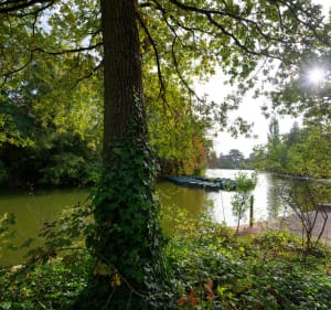 Wandeling in het Bois de Vincennes en Lac des Minimes - Fontenay-sous-Bois - 2