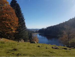 Wandelen langs de 4 meren en natuurwonderen van de Vogezen - Lac Blanc, Orbey - 2