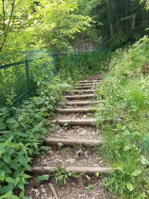 De grote waterval van Mont-Dore en zijn onweerstaanbare charme - Mont-Dore - 2