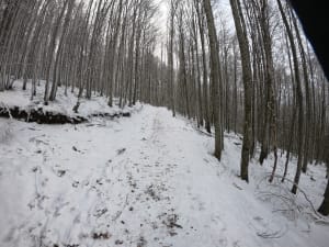 Été ou hiver, le col de la Charbonnière à Hohwald - Le Hohwald - 5