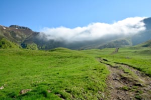 Klim naar de Col de Cabre en kom moeflons en marmotten tegen - Mandailles-Saint-Julien - 2