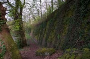 Forêt, calme et charmes de Fumay - Fumay - 2