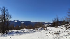 Wasserbourg en prachtige natuur - Wasserbourg - 2