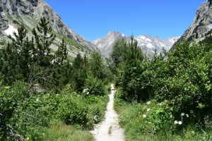 In het hart van de Ecrins en langs de Vénéon van La Bérarde - La Bérarde, Saint-Christophe-en-Oisans - 2