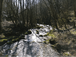 Sublieme Doria-waterval en veelzijdige landschappen - Saint-Jean-d'Arvey - 2