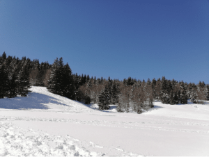 Chalets de Crolles et virée insolite au village tipi - Montcel - 2