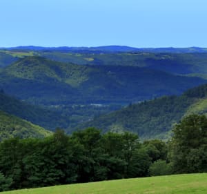 De natuur gaat los op Mont Bessou! - Meymac - 2